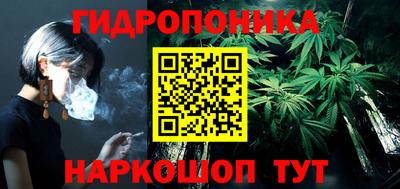 гидропоника Славгород
