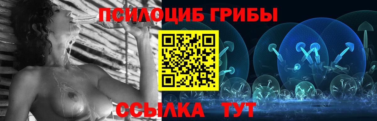 Галлюциногенные грибы MAGIC MUSHROOMS  Вход с VPN  Анжеро-Судженск  Псилоцибиновые грибы мухоморы 