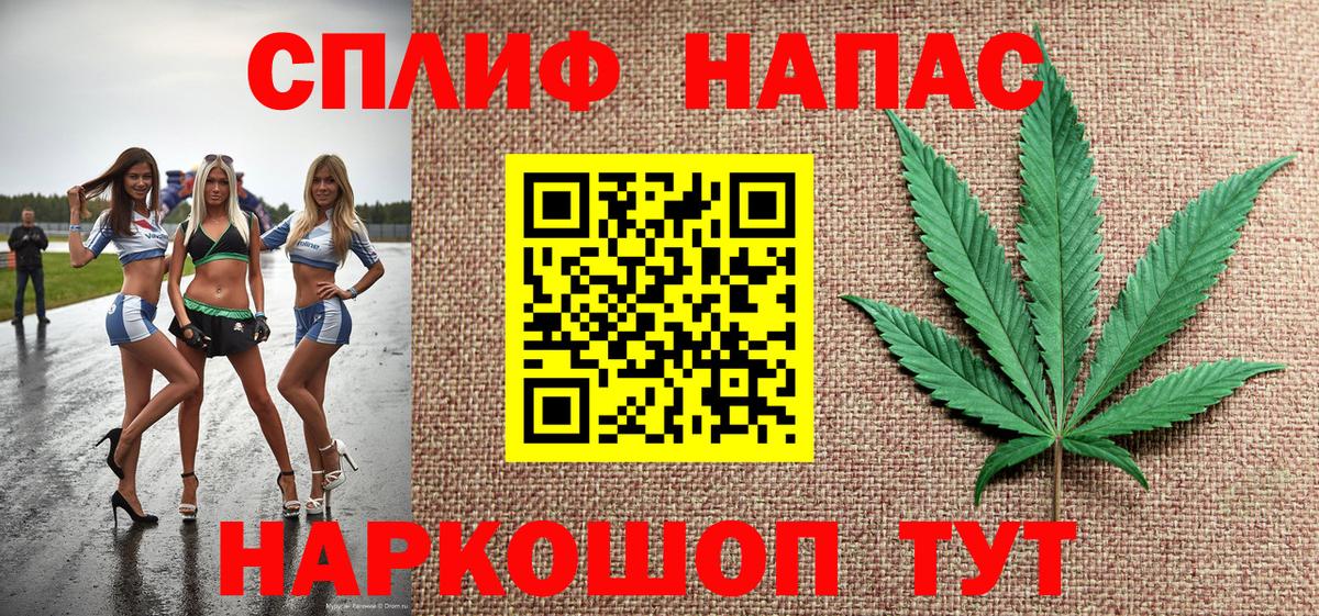 Конопля конопля Анжеро-Судженск